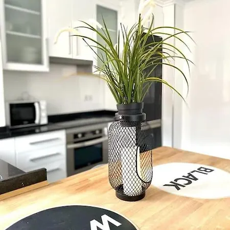 Centrico Apartamento En Apartment *